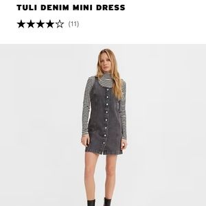 Levi’s Tuli Denim Dress